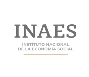 Firma Bienestar-INAES compuesta e individual (1)